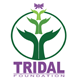 Tridal Foundation